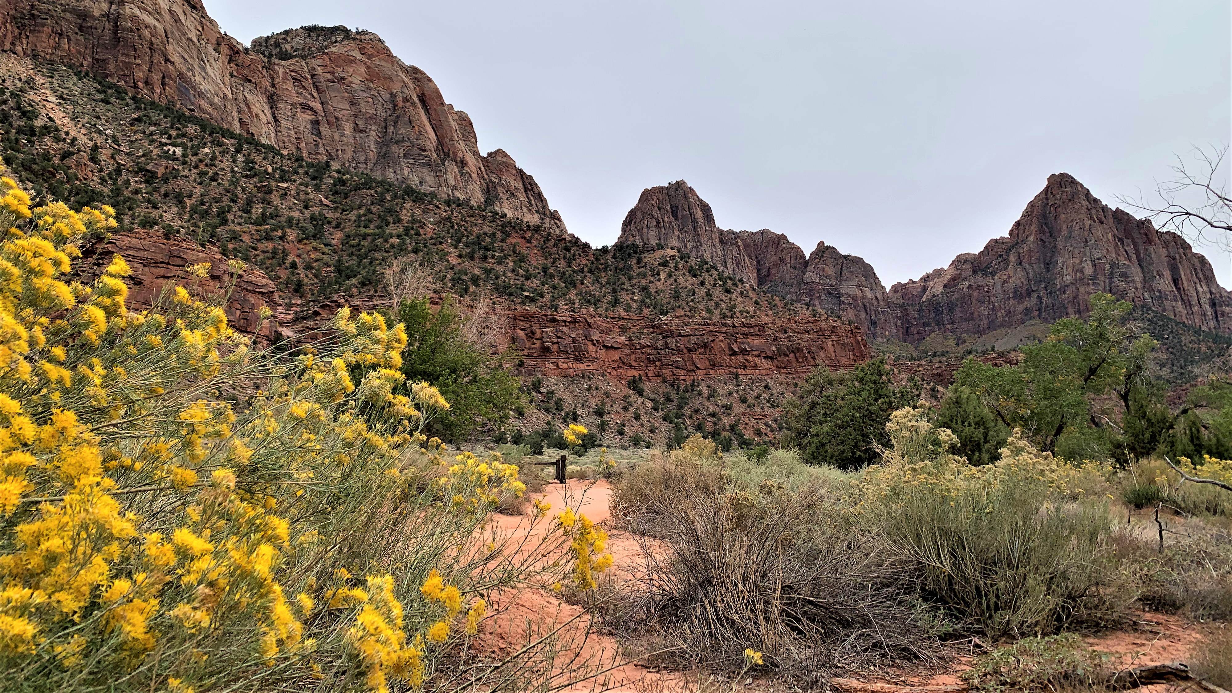 Zion NP